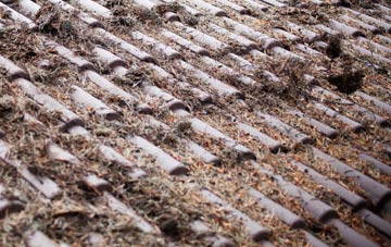 Gribb roof cleaning companies