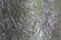 Gribb fibreglass roof work